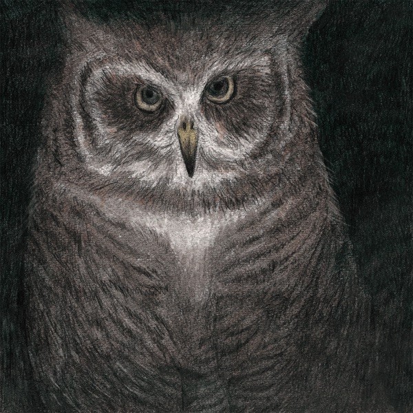 I Hear an Owl - Single